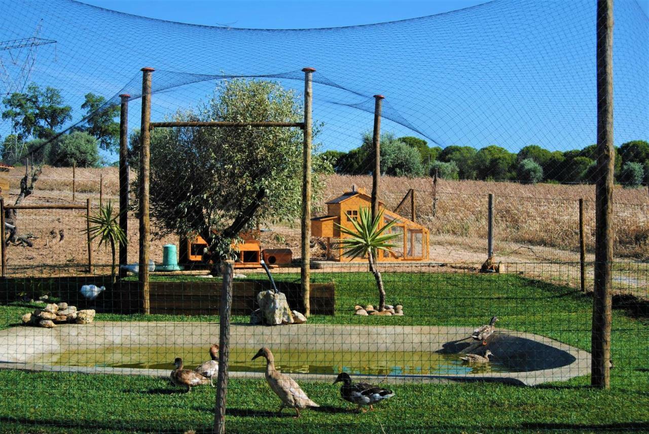 Monte Sossego By Estilo Lusitano, Com Piscina Privada Villa